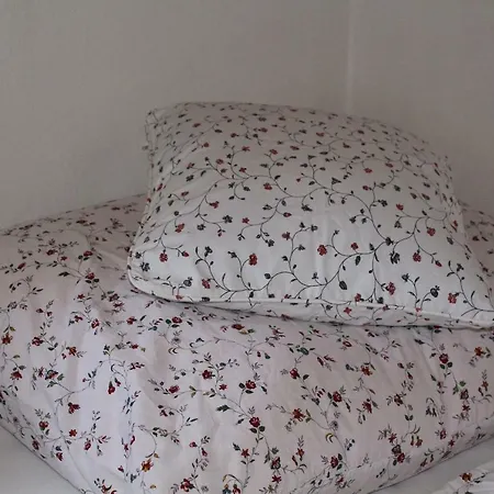Chalet Roubenka Javorka *